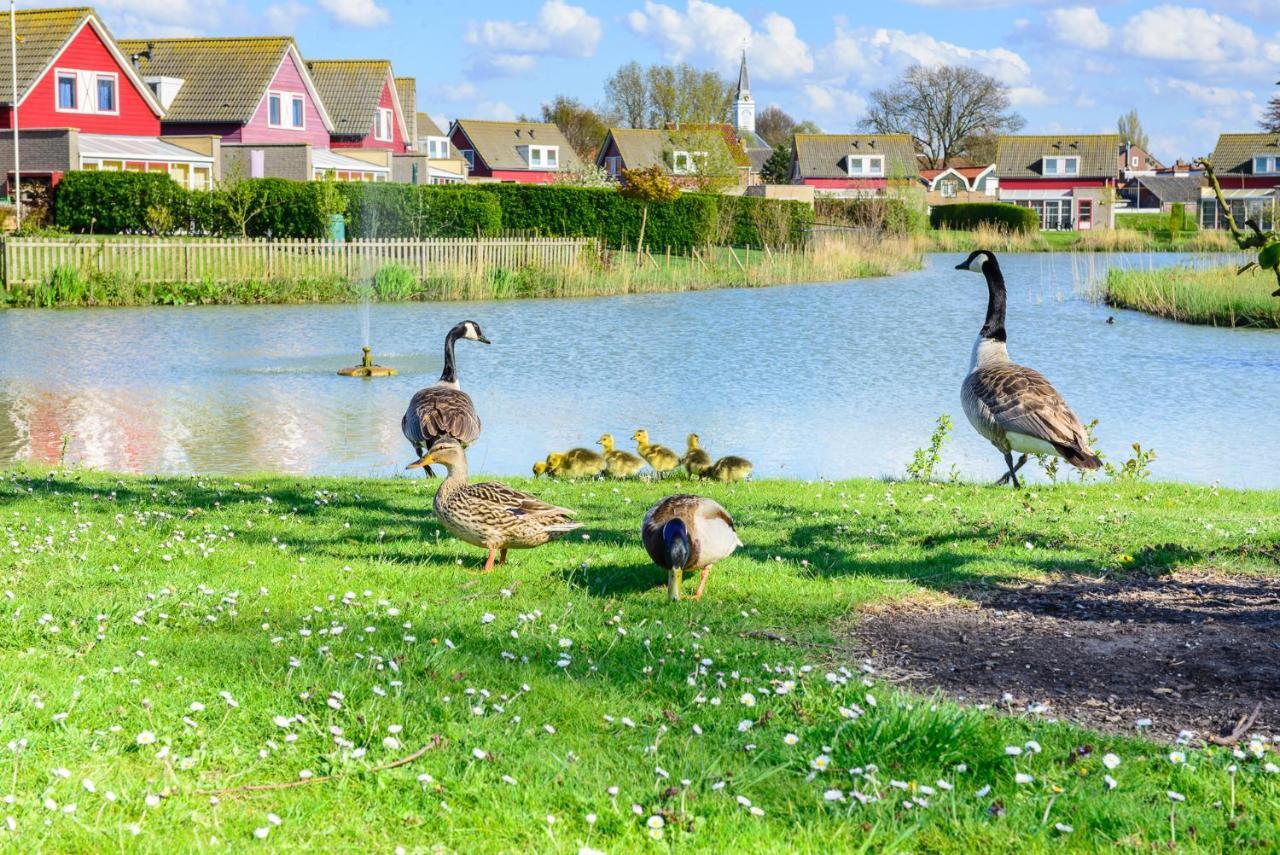 Grimaud 151 - Kustpark Village Scaldia Hoofdplaat Экстерьер фото